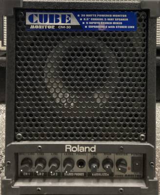 Roland 30W 6.5'' Active Speaker (Single) | Long & McQuade